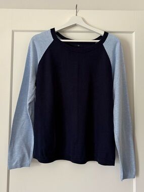 GAP Navy Sweater with Light Blue Sleeves